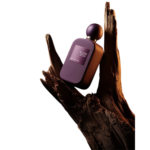 Product Photo Editing