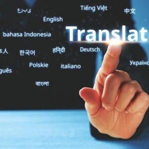 Professional Subtitle Creation